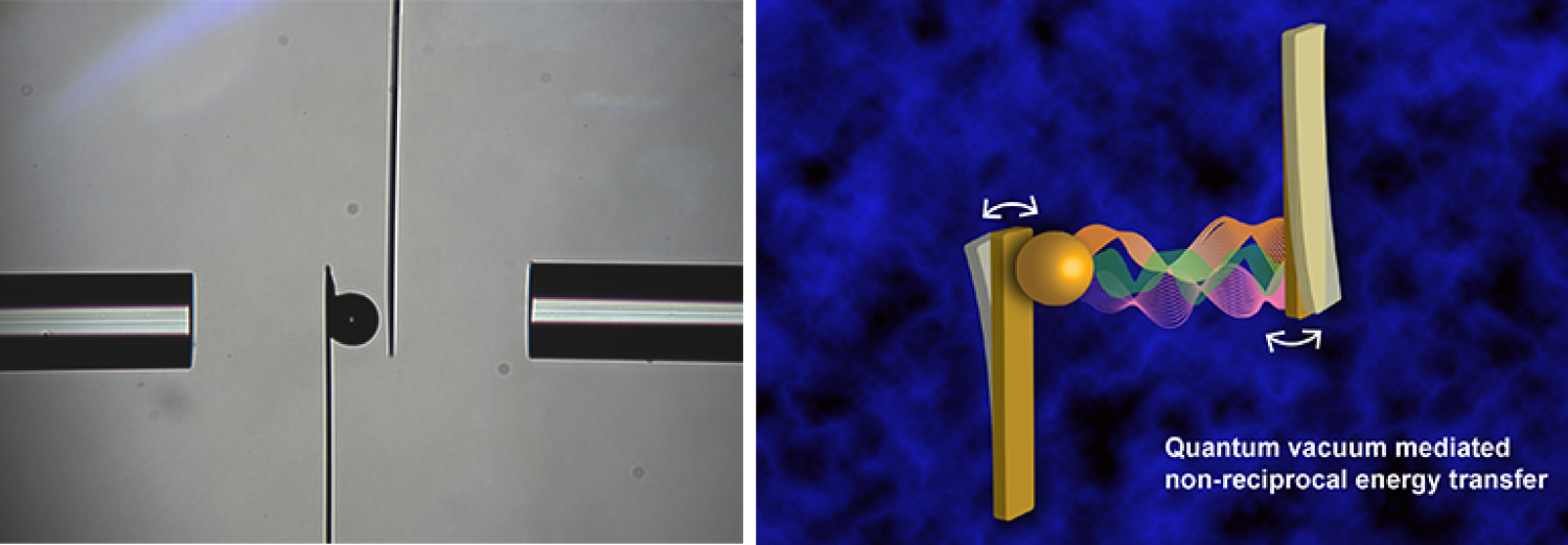 li_splitphoto2.png